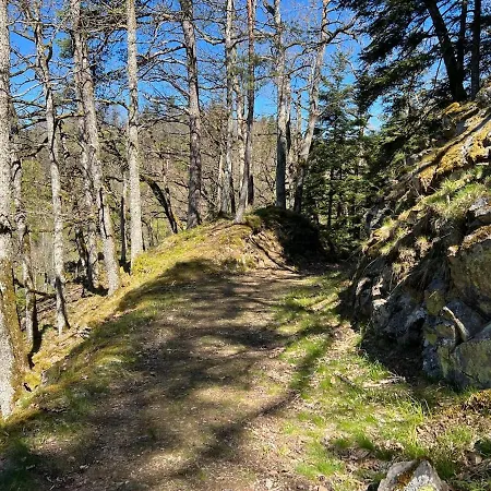 Apartmán Im Herzen Des Steinatals