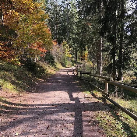 Im Herzen Des Steinatals * Ühlingen-Birkendorf