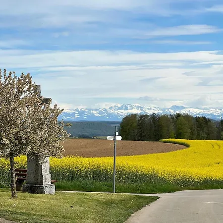 Im Herzen Des Steinatals Apartmán Ühlingen-Birkendorf