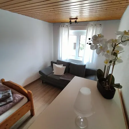 Apartment Im Herzen Des Steinatals
